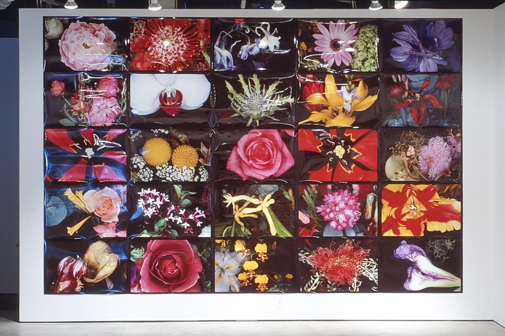 Nobuyoshi Araki | Contemporary Art Gallery